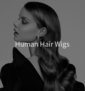 Human Hair Wigs